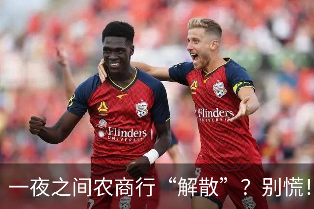 一夜之间农商行“解散”？别慌！你的存款这样处理
