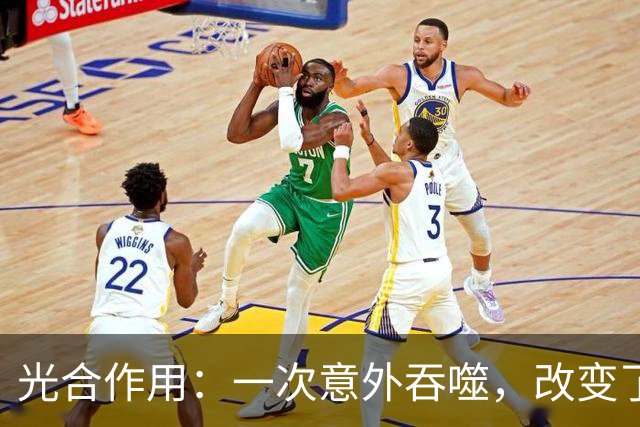 光合作用：一次意外吞噬，改变了整个地球
