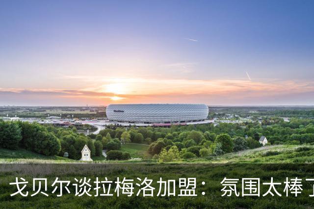 戈贝尔谈拉梅洛加盟：氛围太棒了，我们需要这种快乐