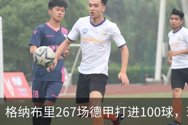 格纳布里267场德甲打进100球，现役德甲球员中第三位百球先生
