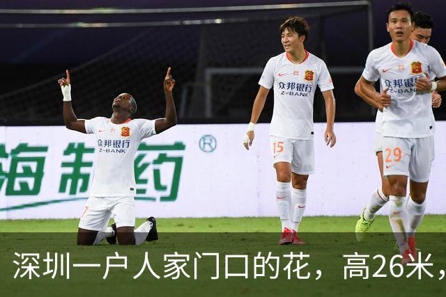 深圳一户人家门口的花，高26米，直接爬上9层楼，太壮观了
