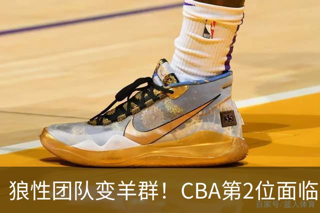 狼性团队变羊群！CBA第2位面临下课主帅曝光，发布会怒喷70%球员不在线，却说自己问心无愧！评论区一边倒