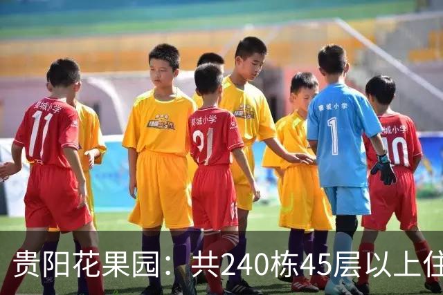 贵阳花果园：共240栋45层以上住宅，房价从3千涨到1.4万，如今严重分化