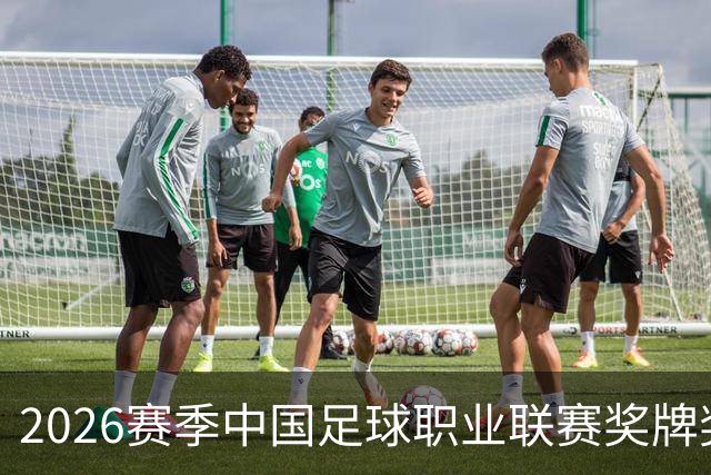 2026赛季中国足球职业联赛奖牌奖杯奖盘供应商征集-结果公告
