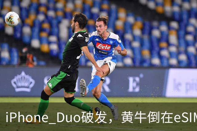 iPhone Duo破发，黄牛倒在eSIM